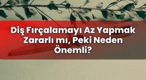 Diş Fırçalamayı Az Yapmak Zararlı mı, Peki Neden Önemli?