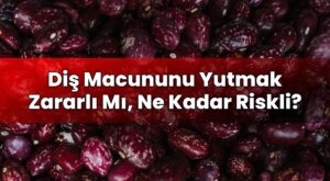 Diş Macununu Yutmak Zararlı Mı, Ne Kadar Riskli?