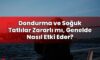 Dondurma ve Soğuk Tatlılar Zararlı mı, Genelde Nasıl Etki Eder?