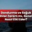 Dondurma ve Soğuk Tatlılar Zararlı mı, Genelde Nasıl Etki Eder?