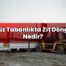 Düz Tabanlıkta Zıt Döngü Nedir?