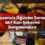 Düzensiz Öğünler Zararlı Mı? Kan Şekerini Dalgalandırır