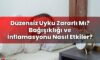 Düzensiz Uyku Zararlı Mı? Bağışıklığı ve İnflamasyonu Nasıl Etkiler?