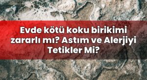 Evde kötü koku birikimi zararlı mı? Astım ve Alerjiyi Tetikler Mi?