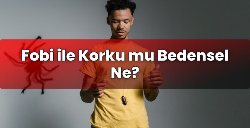 Fobi ile Korku mu Bedensel Ne?