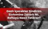 Gazlı İçecekler Sindirim Sistemine Zararlı Mı, Reflüyü Nasıl Tetikler?
