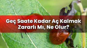 Geç Saate Kadar Aç Kalmak Zararlı Mı, Ne Olur?