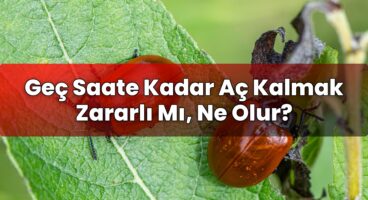 Geç Saate Kadar Aç Kalmak Zararlı Mı, Ne Olur?