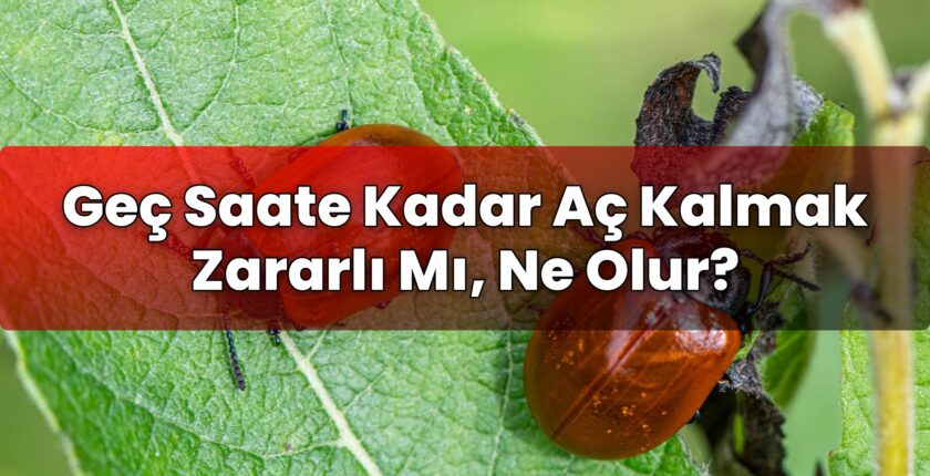 Geç Saate Kadar Aç Kalmak Zararlı Mı, Ne Olur?