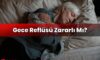 Gece Reflüsü Zararlı Mı?