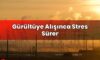 Gürültüye Alışınca Stres Sürer