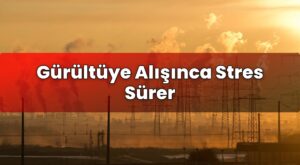 Gürültüye Alışınca Stres Sürer