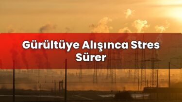 Gürültüye Alışınca Stres Sürer
