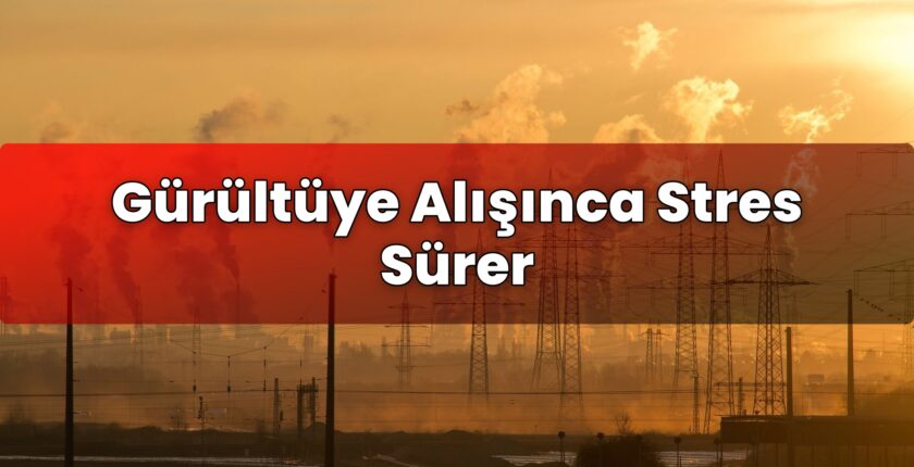 Gürültüye Alışınca Stres Sürer