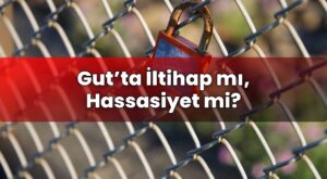 Gut’ta İltihap mı, Hassasiyet mi?