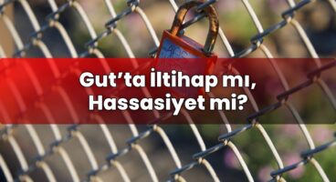 Gut’ta İltihap mı, Hassasiyet mi?
