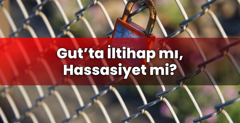 Gut’ta İltihap mı, Hassasiyet mi?