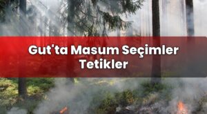 Gut’ta Masum Seçimler Tetikler