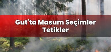Gut’ta Masum Seçimler Tetikler