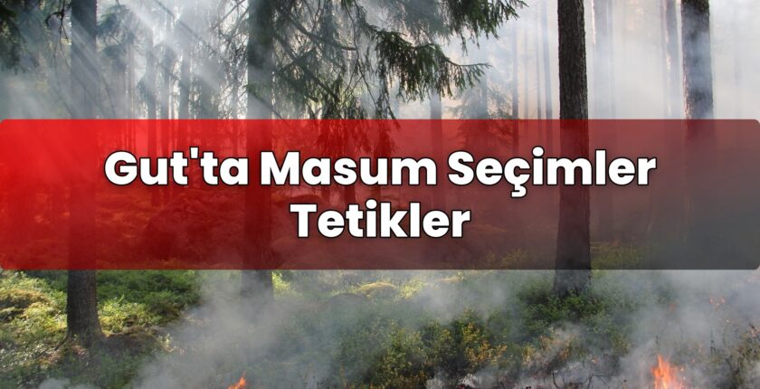 Gut’ta Masum Seçimler Tetikler
