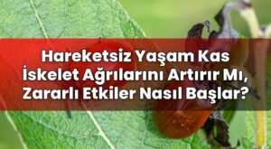 Hareketsiz Yaşam Kas İskelet Ağrılarını Artırır Mı, Zararlı Etkiler Nasıl
Başlar?