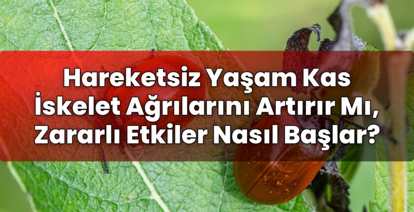 Hareketsiz Yaşam Kas İskelet Ağrılarını Artırır Mı, Zararlı Etkiler Nasıl
Başlar?