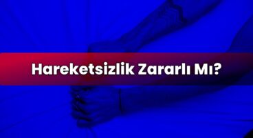 Hareketsizlik Zararlı Mı?