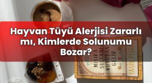 Hayvan Tüyü Alerjisi Zararlı mı, Kimlerde Solunumu Bozar?