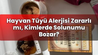 Hayvan Tüyü Alerjisi Zararlı mı, Kimlerde Solunumu Bozar?