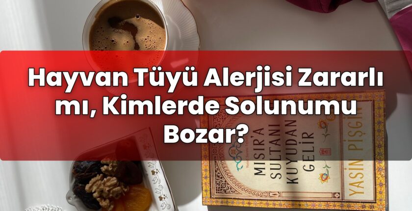Hayvan Tüyü Alerjisi Zararlı mı, Kimlerde Solunumu Bozar?