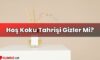 Hoş Koku Tahrişi Gizler Mi?