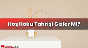 Hoş Koku Tahrişi Gizler Mi?