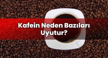 Kafein Neden Bazıları Uyutur?