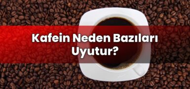 Kafein Neden Bazıları Uyutur?