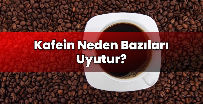 Kafein Neden Bazıları Uyutur?