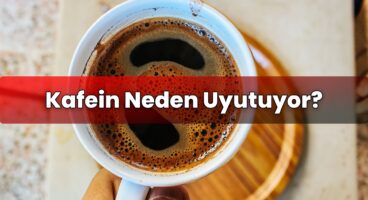 Kafein Neden Uyutuyor?