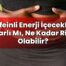 Kafeinli Enerji İçecekleri Zararlı Mı, Ne Kadar Riskli Olabilir?