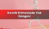 Kemik Erimesinde Yük Dengesi