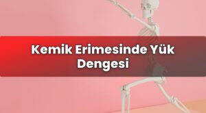Kemik Erimesinde Yük Dengesi