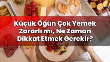 Küçük Öğün Çok Yemek Zararlı mı, Ne Zaman Dikkat Etmek Gerekir?