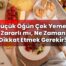 Küçük Öğün Çok Yemek Zararlı mı, Ne Zaman Dikkat Etmek Gerekir?