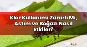 Klor Kullanımı Zararlı Mı, Astım ve Boğazı Nasıl Etkiler?