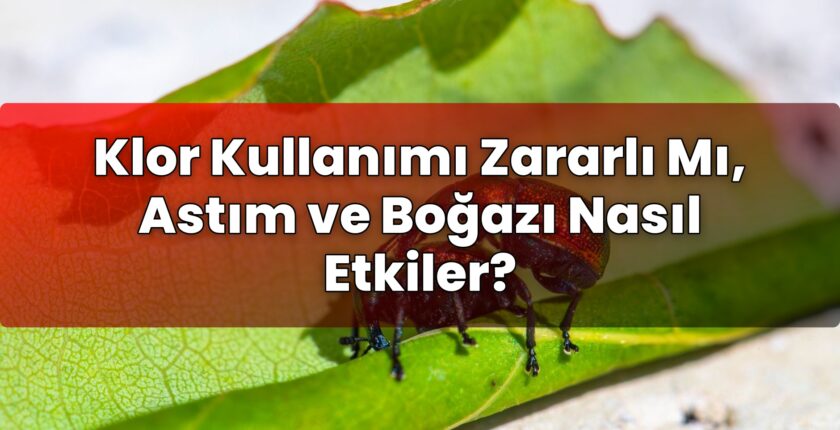 Klor Kullanımı Zararlı Mı, Astım ve Boğazı Nasıl Etkiler?