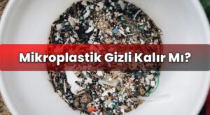 Mikroplastik Gizli Kalır Mı?