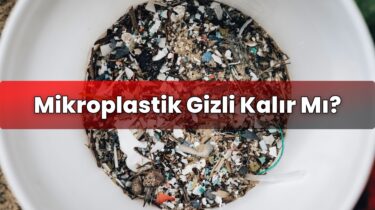 Mikroplastik Gizli Kalır Mı?