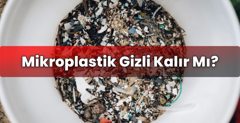 Mikroplastik Gizli Kalır Mı?