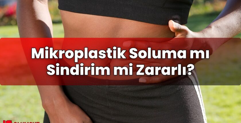Mikroplastik Soluma mı Sindirim mi Zararlı?