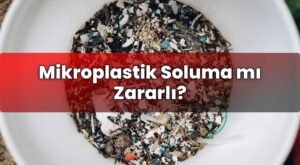 Mikroplastik Soluma mı Zararlı?