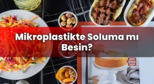Mikroplastikte Soluma mı Besin?