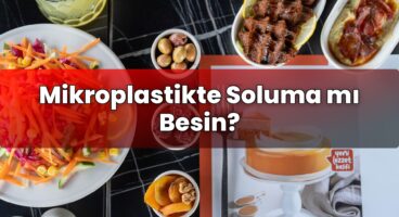Mikroplastikte Soluma mı Besin?